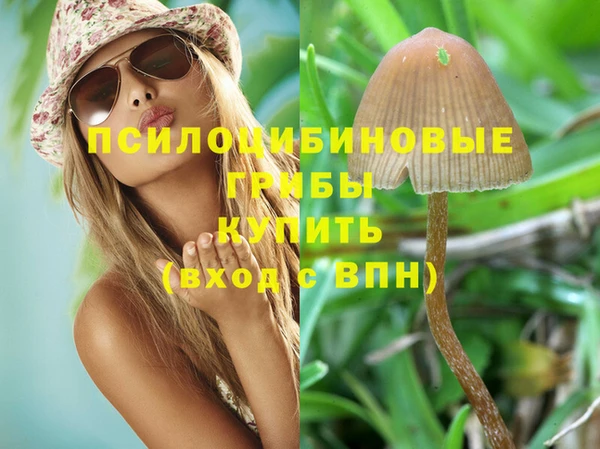 трава Беломорск