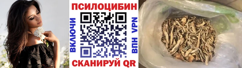 Псилоцибиновые грибы Psilocybe  закладки  ОМГ ОМГ зеркало  Нестеровская 